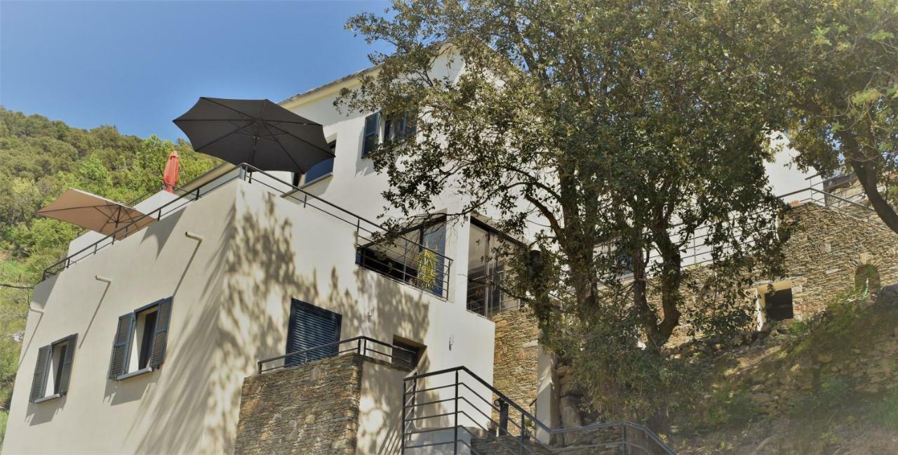 A Casa Di Campa Βίλα Oletta  Εξωτερικό φωτογραφία